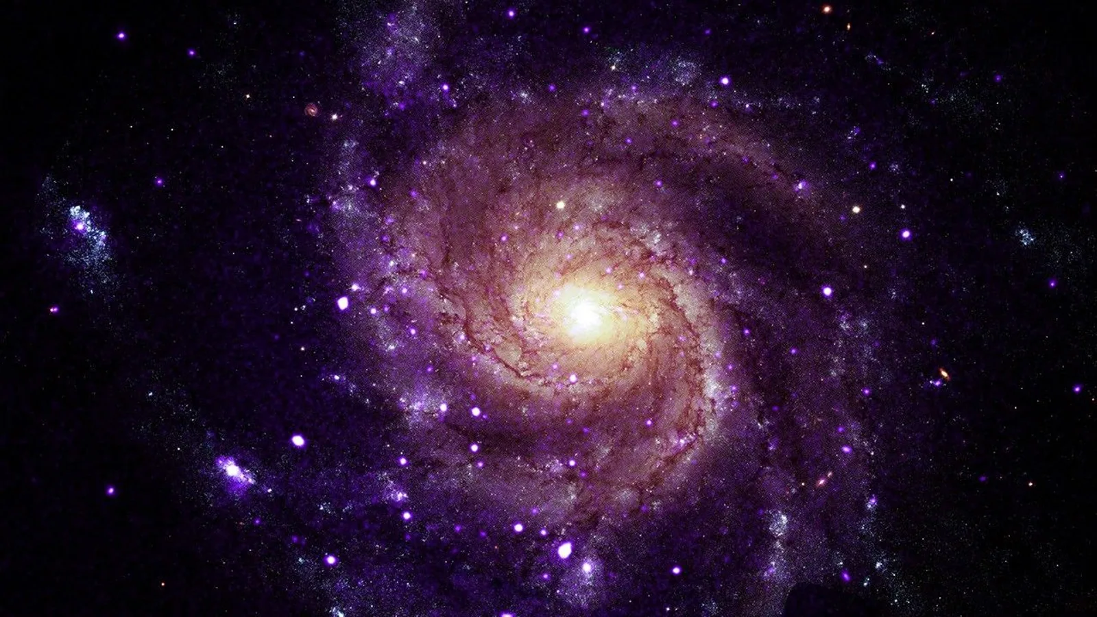 Chandra Archive Yields 84 'Hypersoft' X-Ray Sources in 6 Galaxies
